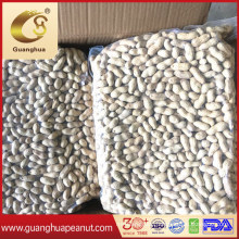 Export Quality Wahed Peanut in Shell Virginia Vacuum Package